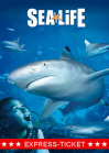 Kombi Ticket SEA LIFE Oberhausen - Express Ticket gültig bis 31.12.18 • 31.12.2018, 10:00 • Oberhausen