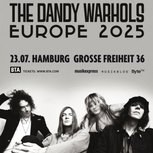 Künstlerbild von THE DANDY WARHOLS