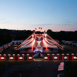 Künstlerbild von Zirkus Charles Knie