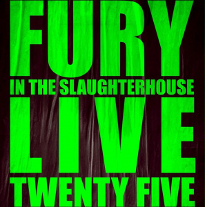 Künstlerbild von FURY IN THE SLAUGHTERHOUSE