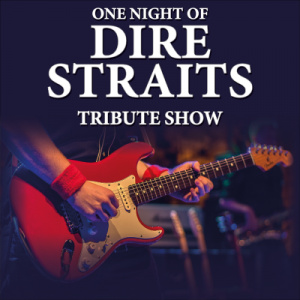 Künstlerbild von One Night of Dire Straits - 30 years later Tour – Tribute Show