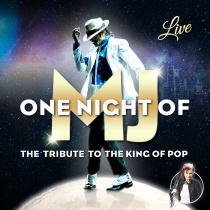 One Night Of MJ