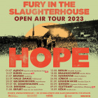 FURY IN THE SLAUGHTERHOUSE