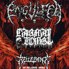 ENGULFED + CARNAL TOMB + BELLIGERENCE | SZENE