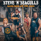 STEVE ’N’ SEAGULLS